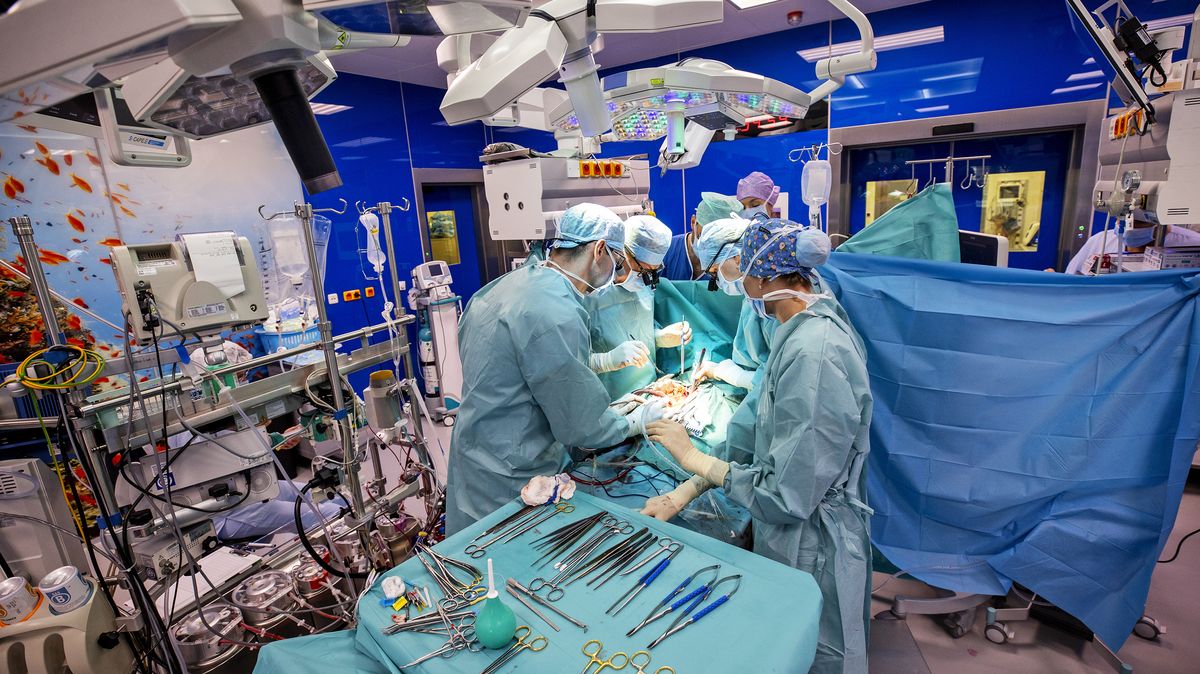 „Zachránilo mi život.“ Jedna osobní chvála českému zdravotnictví